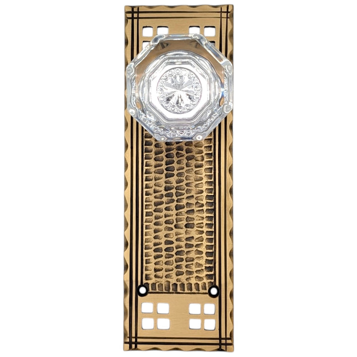Traditional™ Arts & Crafts Backplate Door Set with Octagon Crystal Door Knobs (Several Finishes Available)