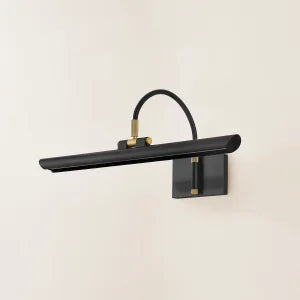 ##Antique Hardware## Elowen Picture Light