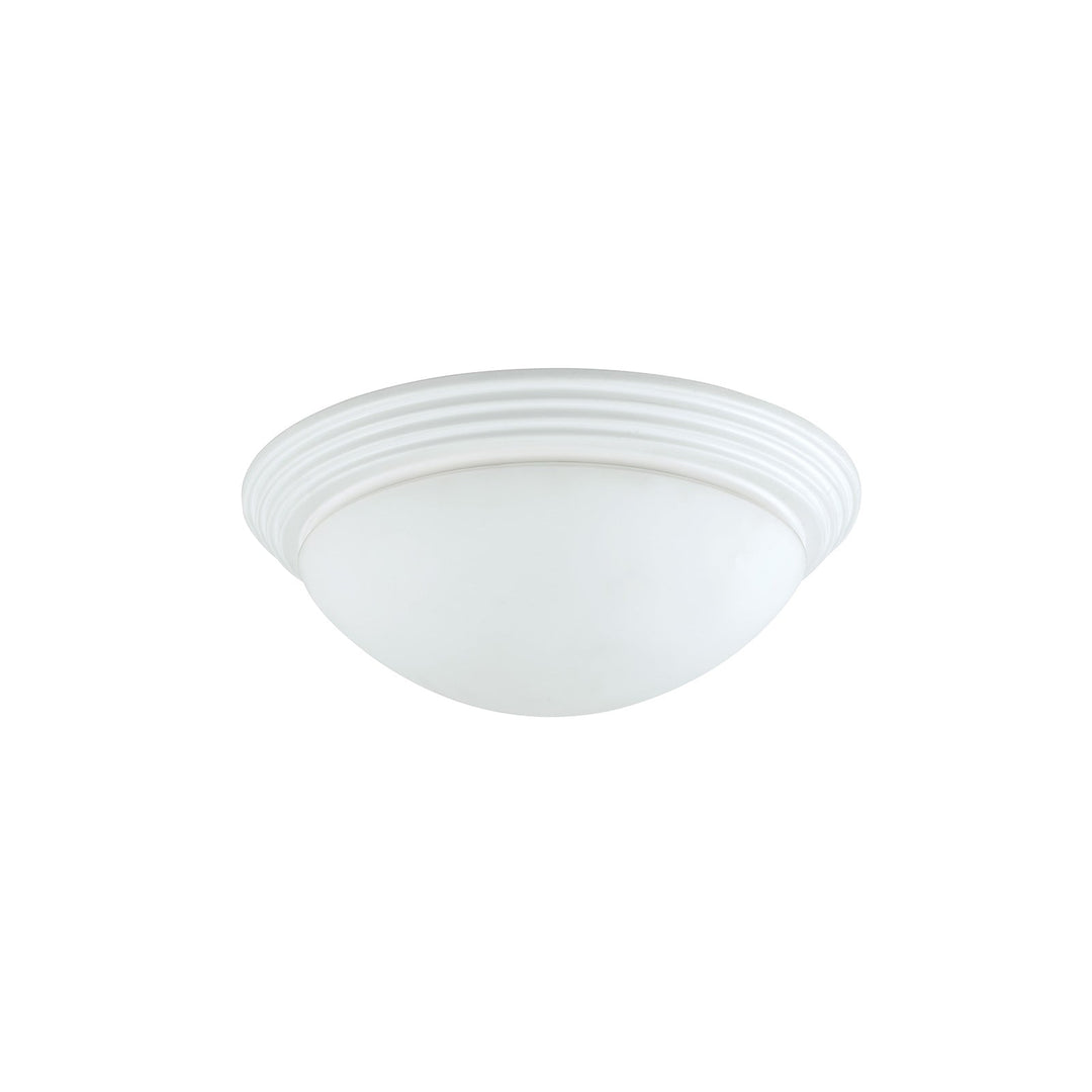 Antique Hardware 60W X 2 CEILING LAMP Close Ceiling