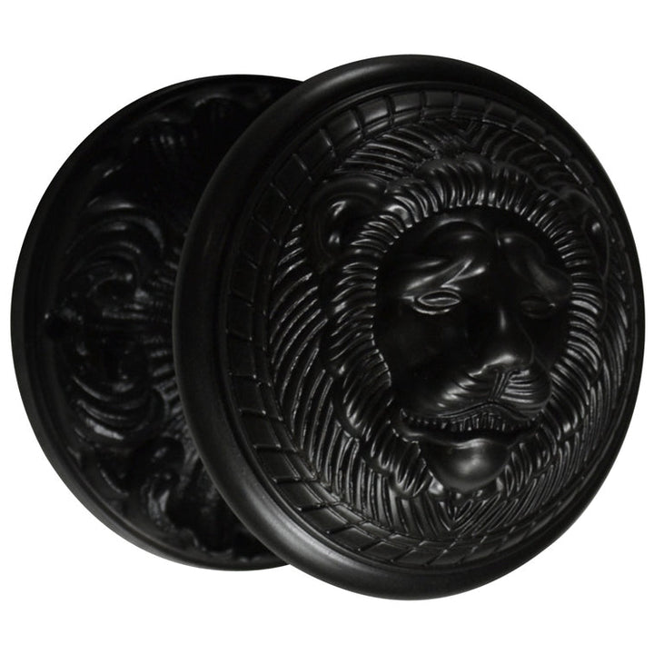 ##Antique Hardware## Romanesque Rosette Door Set with Lion Door Knobs (Several Finishes Available)